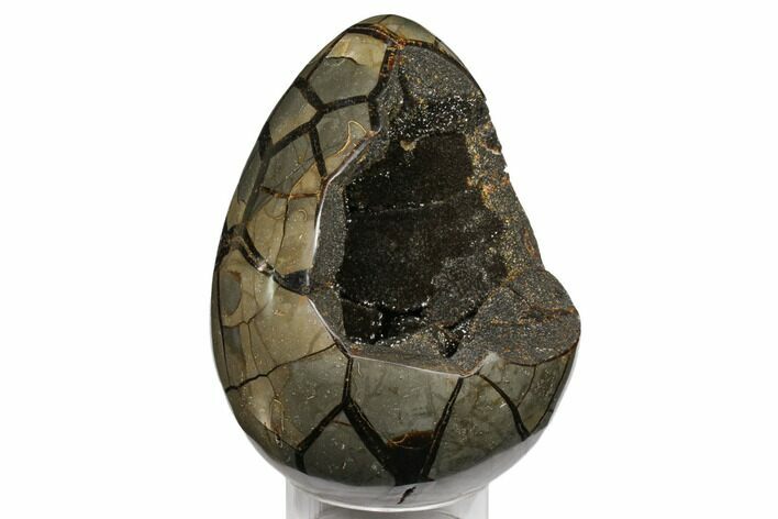 Septarian Dragon Egg Geode - Black Crystals #124469